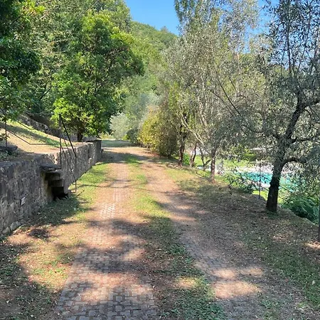 Il Mulino Nel Bosco *